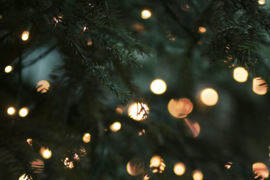 Cerimonia d’accensione dell’albero di Natale